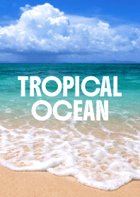 TROPICAL OCEAN THEME 61