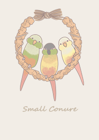 Small Conure .