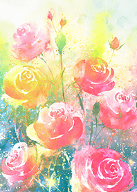 Beautiful rose flower(R2113)