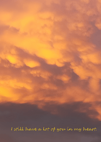 I still have a lot of you in my heart.