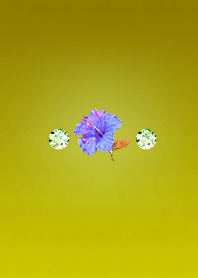 Hue with healing effect 3