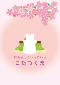 KOTATSUKUMA- Spring is coming