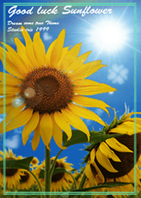 Good luck Sunflower#