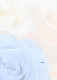 Rose Theme 43