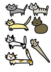 lots of cats !