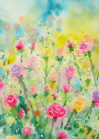 Beautiful rose flower(R3438)