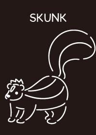 Skunk simple black monochrome