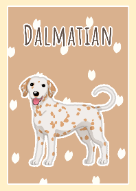 Dalmatian(Lemon&White)