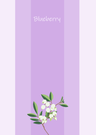 August's birth flower,Blueberry