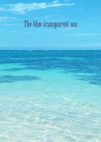 The blue transparent sea - MEKYM 32