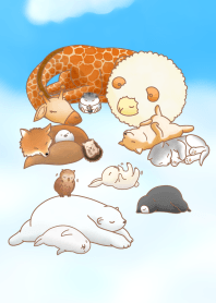 Sleeping animal friends