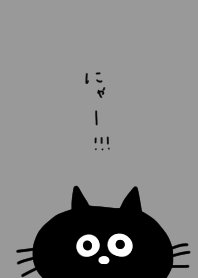 グレーと黒猫。ドアップ。