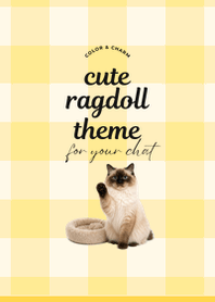 Ragdoll Daily Theme