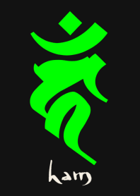 BONJI [haM] BLACK GREEN (0812 revised