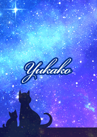 Yukako Milky way & cat silhouette