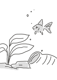 Goldfish kingyo