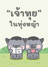 เจ้าทุยในทุ่งหญ้า!