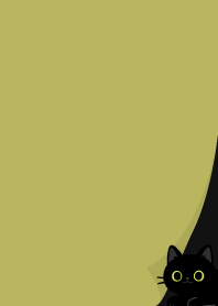 角落小黑貓.黑6