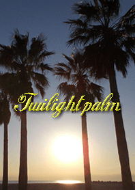 在日落時與棕櫚樹在黃昏時在海邊治愈