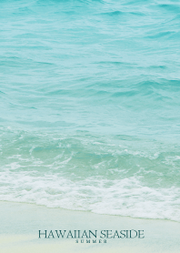 HAWAIIAN-SEASIDE SHELL- 4