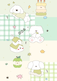 Chubby-cheeked white dog3