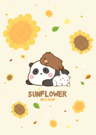 Three Bears Sunflower Cutie