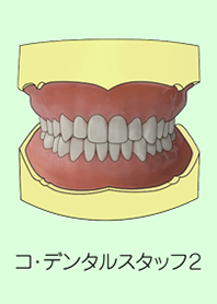 コ・デンタルスタッフ２