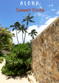 ALOHA Summer Ocean Lanikai 33