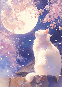 櫻花下賞月的貓❤️