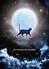Cat walking in the moonlight