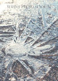 Winter Photo #1-9 Not AI