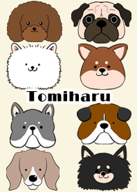 Tomiharu Scandinavian dog style
