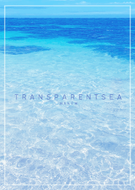 TRANSPARENT SEA 11