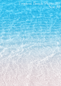 Tropical Beach Photo 310 Not AI