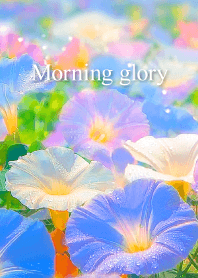 "Morning glory vol.3" theme