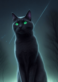 밤의 검은 고양이 JXxwR