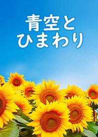Blue Sky and Sunflowers.