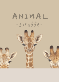 ANIMAL - Giraffe - DUSTY BEIGE