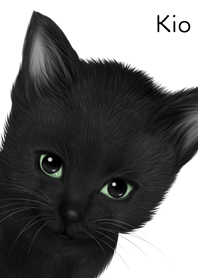 きお用可愛い黒猫子猫