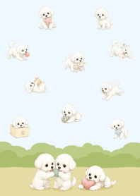 Cute happy bichon frise dog/white