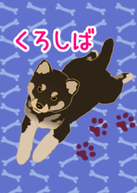 Black shiba inu