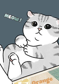 neko single15 / dark steel blue