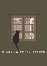 梅雨と猫 + キャメル