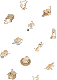 โทเทมแมวน่ารัก/สีขาว