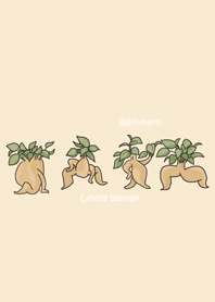 Lovely banyan