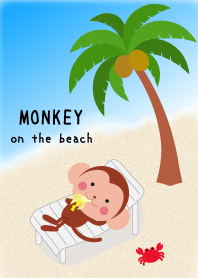MONKEY on the beach
