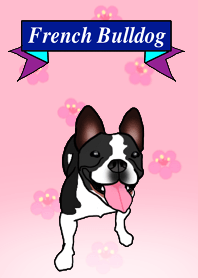 UME the French Bulldog