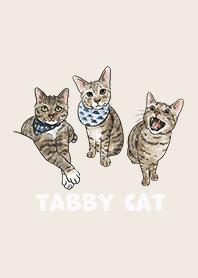 tabbycat2 / cream