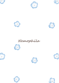 Pretty Nemophila -white-