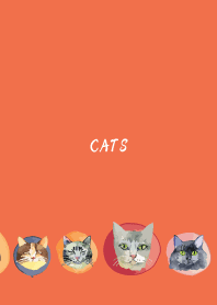 holiday cats on red & yellow